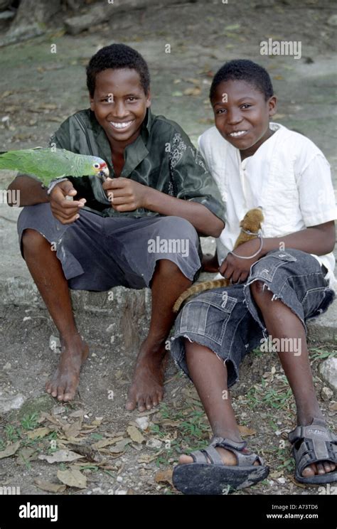 Caribbean Boy TV .